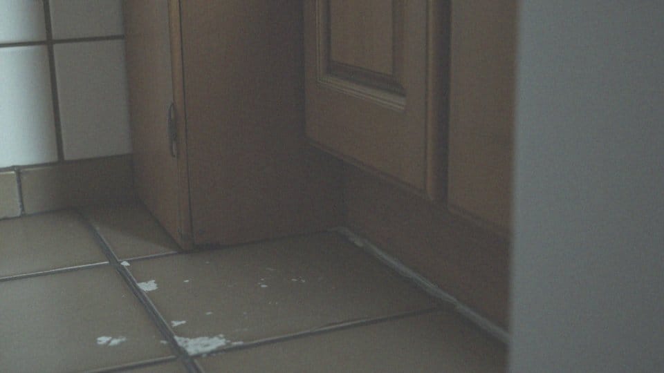Jakie są skutki obecności karaluchów w mieszkaniu?