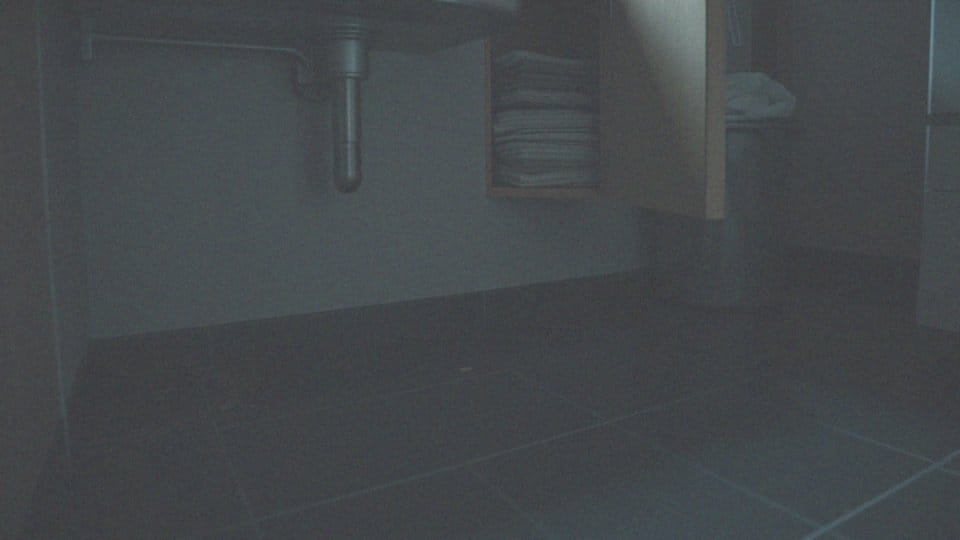 Jakie objawy wskazują na infestację karaluchów w domu?