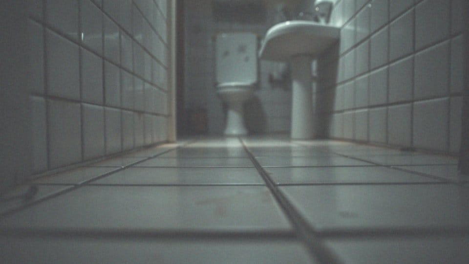 Co to są karaluchy i dlaczego są problemem?