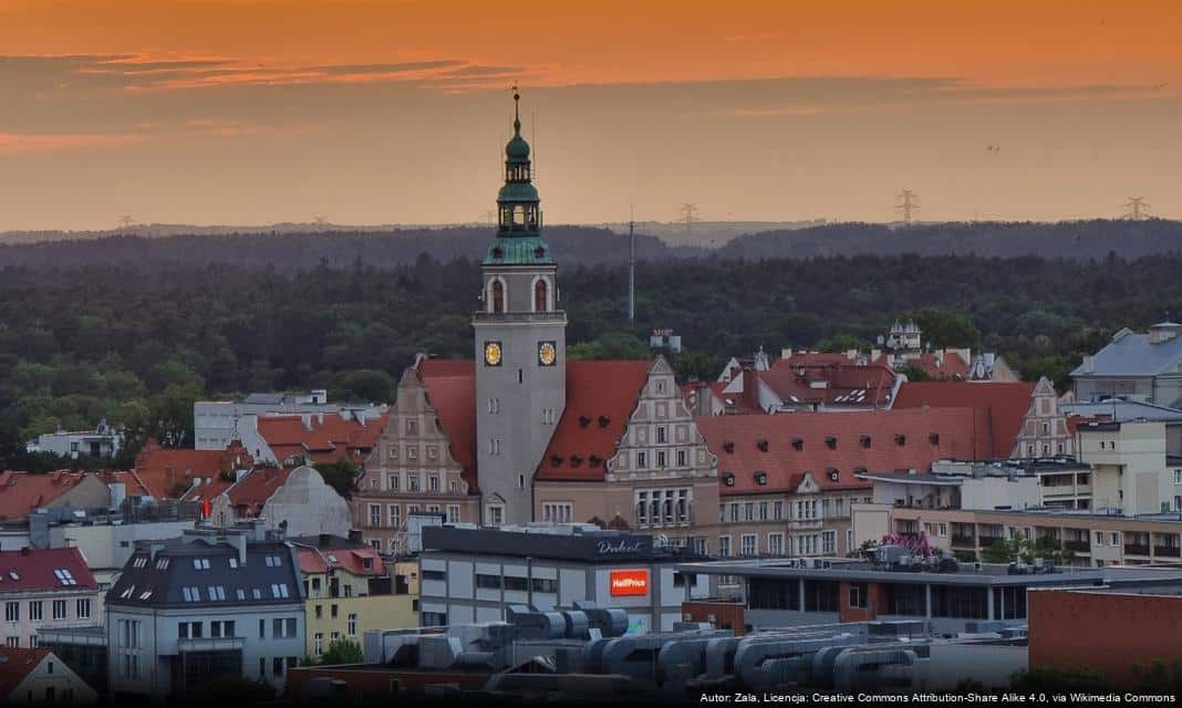 Harcerski sukces podczas finału WOŚP w Olsztynie